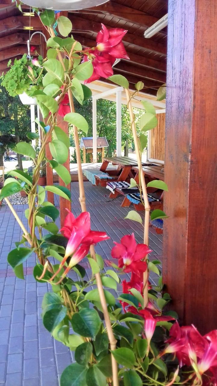 Kristaly Vendeghaz Hotel Bogacs Bagian luar foto