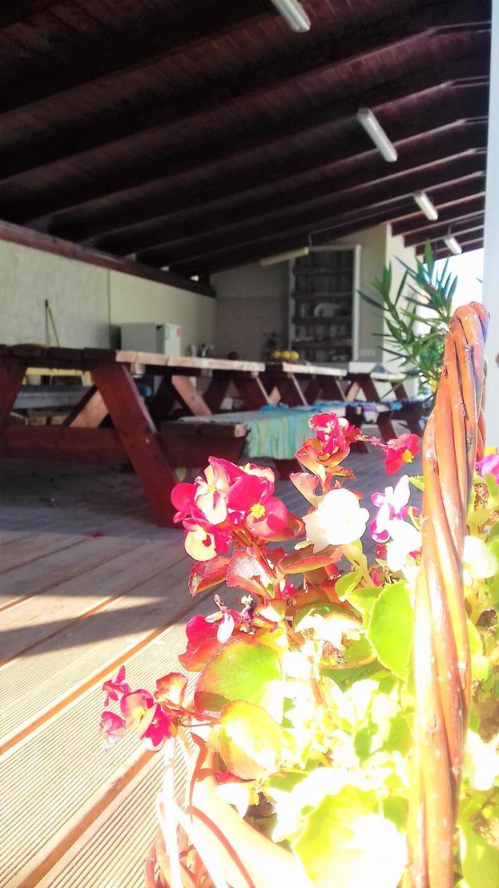 Kristaly Vendeghaz Hotel Bogacs Bagian luar foto
